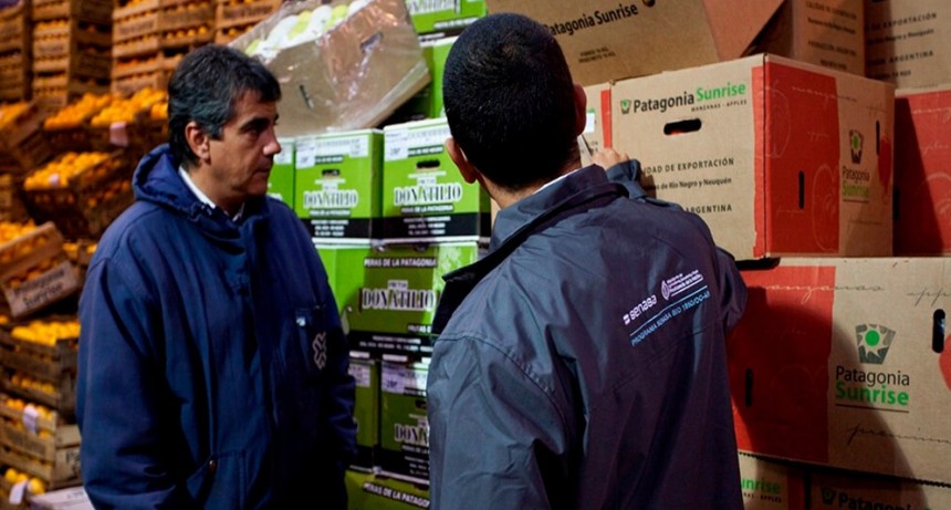 Finalmente, no habrá paro en el Senasa: se pospuso ante la promesa de que no habrá despidos masivos