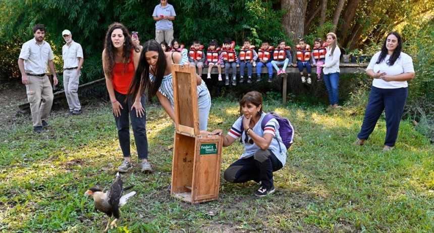 El Municipio reinsertó especies de fauna nativa en la Reserva Municipal Carapachay de Delta de Tigre