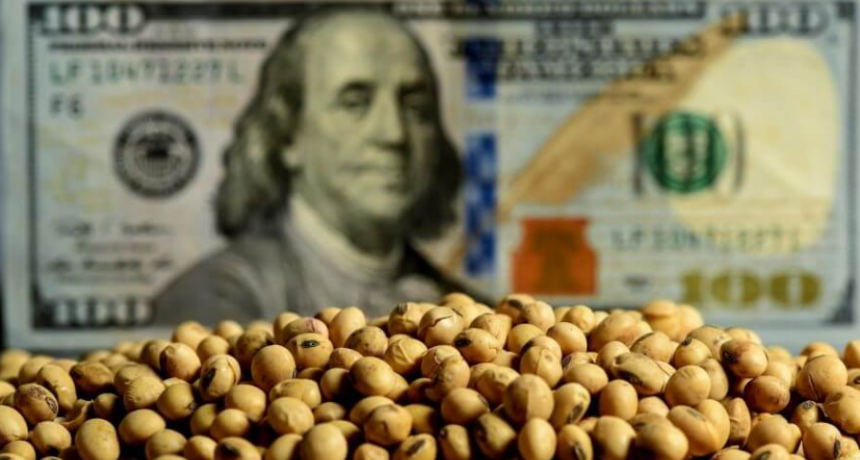 El balance del primer mes con retenciones “rebajadas”: las ventas de soja crecieron 32%