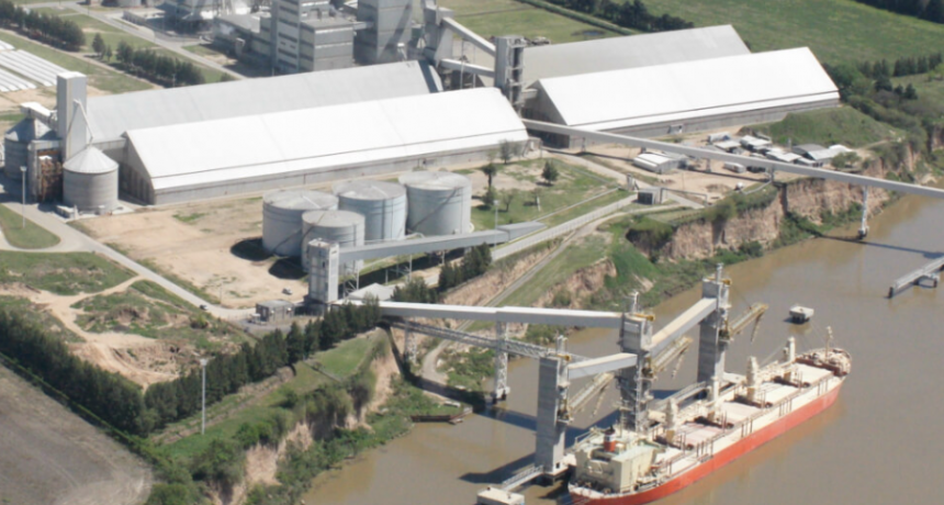 De la mano de la baja de retenciones, el aporte de dólares del agro estuvo cerca del récord en febrero