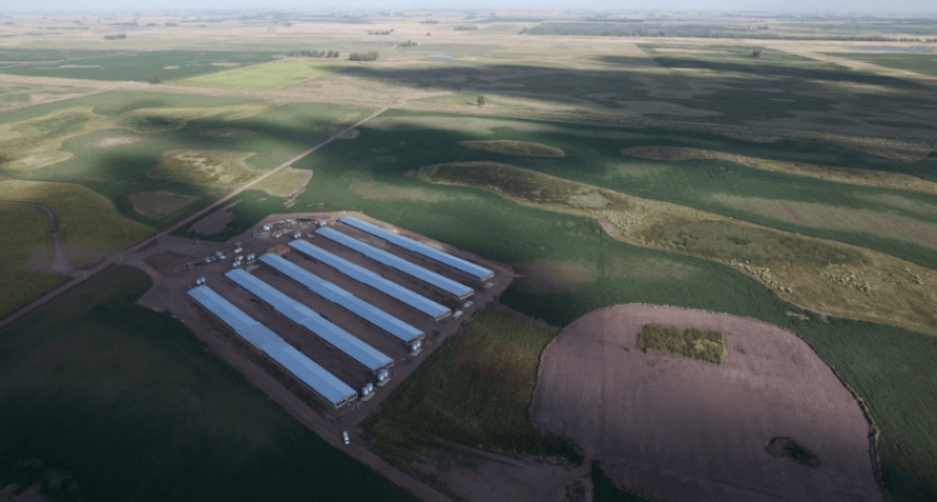 Valor agregado: los cerdos impulsan una inversión de U$S 17,5 millones en Bolívar