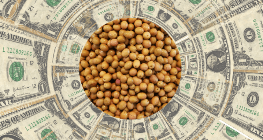 A 17 años de la 125, el campo lamenta que las retenciones sigan firmes: “No hemos ganado mucho terreno”