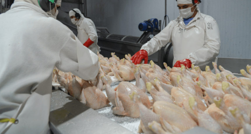 Celebra la cadena de la carne aviar: China reabrió su mercado para las exportaciones argentinas