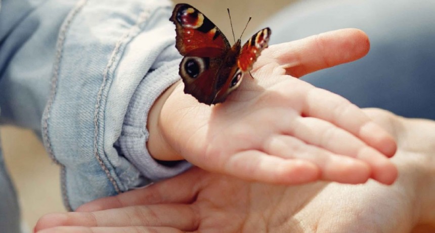 Afianzando Lazos: el Municipio de Tigre ofrece talleres para acompañar el proceso adoptivo de niños, niñas y adolescentes