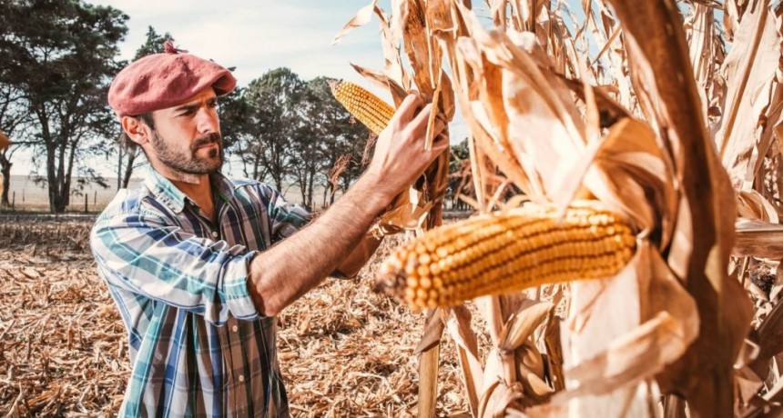 “Juanchi”, el ingeniero biomédico que se volvió al campo y hace cirugía en los rindes con el riego por goteo