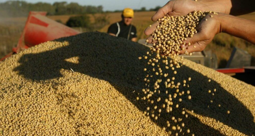 Soja con tonada: el primer lote de la cosecha 2024/25 llegó al Gran Rosario desde Córdoba