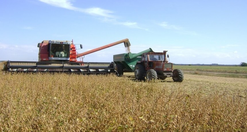 Las dos “décadas pérdidas” de la soja: el precio casi se duplicó, pero el productor pierde dinero