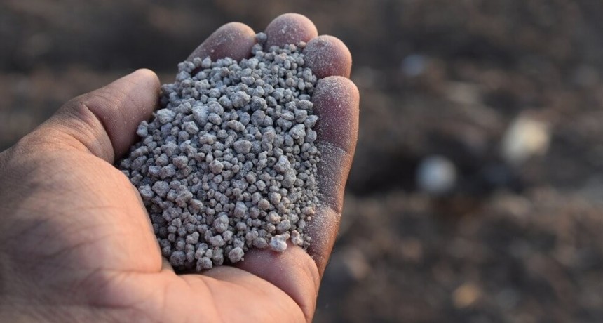 Fertilización en fina: estrategias para una campaña “reñida”