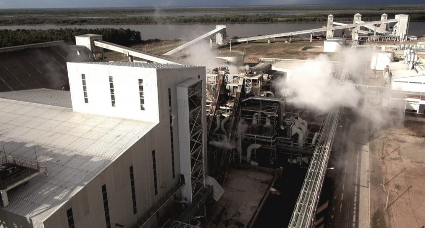 Ca&iacute;da hist&oacute;rica de la liquidaci&oacute;n de divisas: agroexportadores apuntan al gremio aceitero