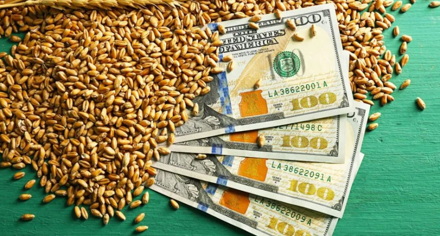 Retenciones en la cuerda floja: el Gobierno mide el costo fiscal antes de avanzar con otra baja