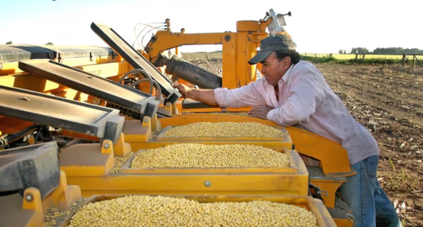 Ley de Semillas: reuni&oacute;n en Expoagro anticipa un debate caliente entre el campo y el Gobierno