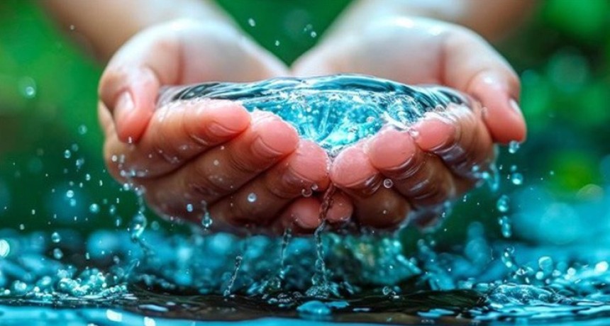 D&iacute;a Mundial del Agua: claves para usar el recurso de manera eficiente en la agricultura