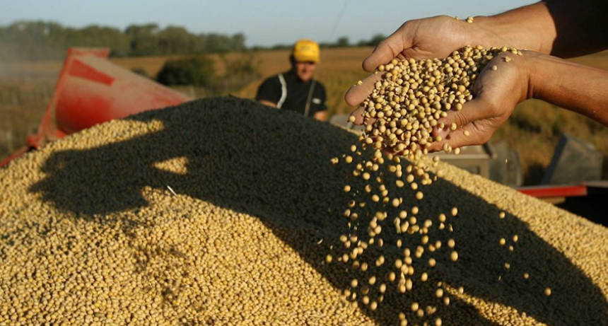 Argentina frente a una ventana &uacute;nica para la soja ante el conflicto global