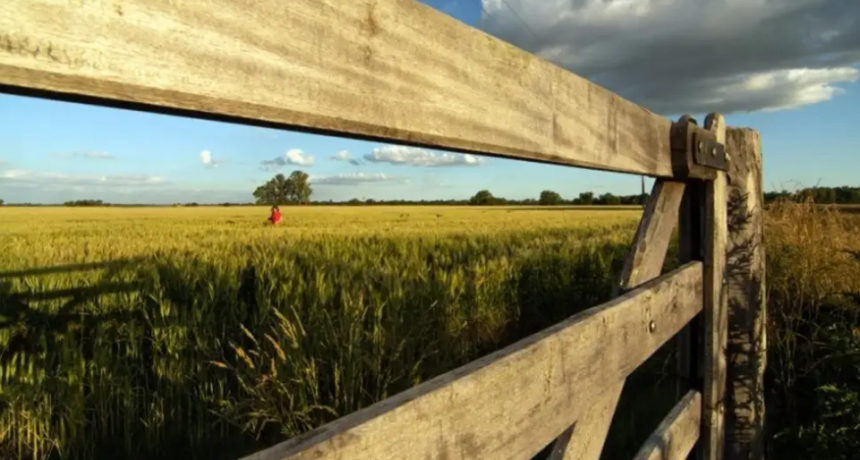 Alerta en el campo: crecen las chances de un nuevo fen&oacute;meno de El Ni&ntilde;o