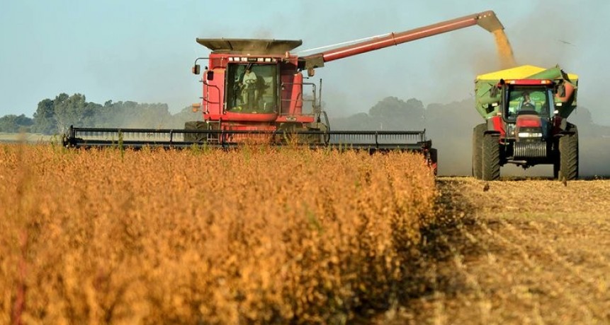 proyectan una caída del PBI agroindustrial mucho menor que la actividad económica