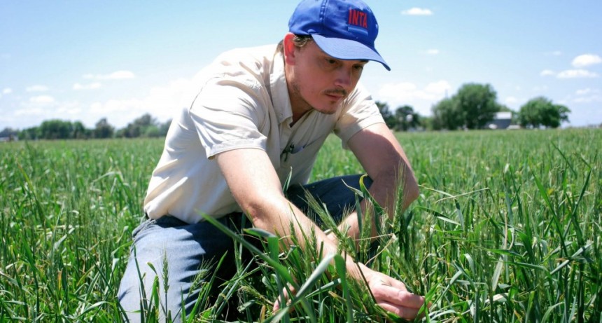 El INTA lanzó un concurso para incorporar 40 investigadores