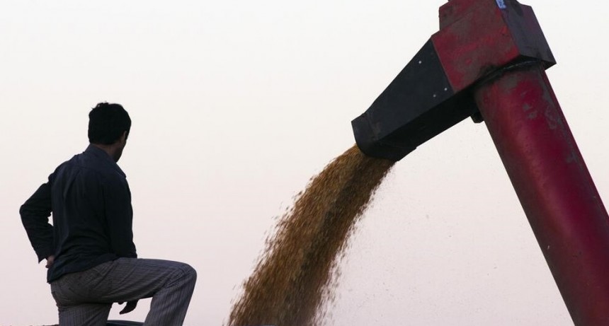 Ajustan la estimación y la zona núcleo tendría 800.000 toneladas más de soja