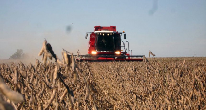 Para el Gobierno, el clima le restará 7,6 millones de toneladas a la cosecha gruesa
