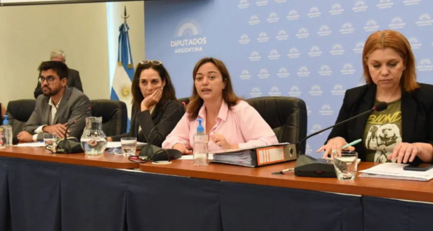  Continúa la ronda de consultas en Diputados por la reforma a la ley de alquileres 