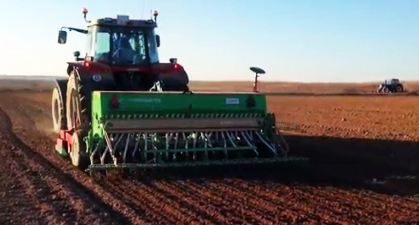 Trigo: asoman las primeras proyecciones de siembra 2023/24