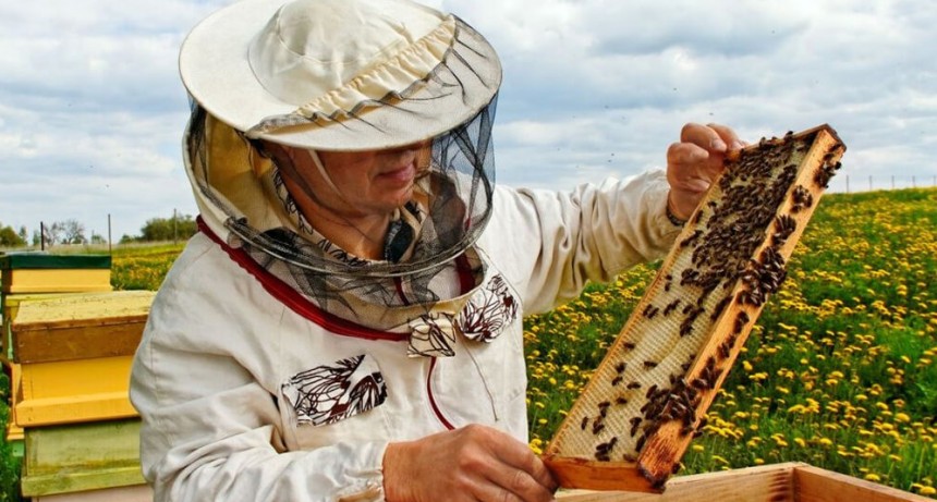 La apicultura también sufre la sequía: cuestionan al Gobierno por un fondo de asistencia