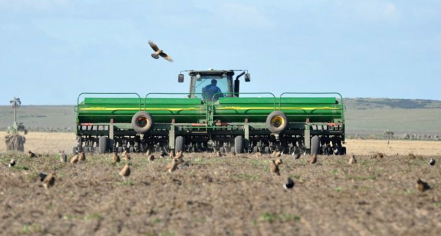 La Bolsa de Buenos Aires es optimista para el trigo: proyecta 600.000 hectáreas más que el año pasado