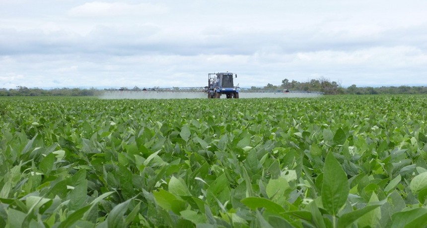 Una ‘Vaca Muerta’ del agro: “¿Por qué no conseguir U$S 15.000 millones para producir nitrógeno?”