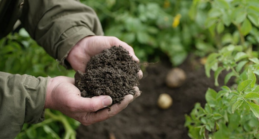 El mercado de carbono tiene un gran escollo: la mitad de los productores ni siquiera sabe qué es