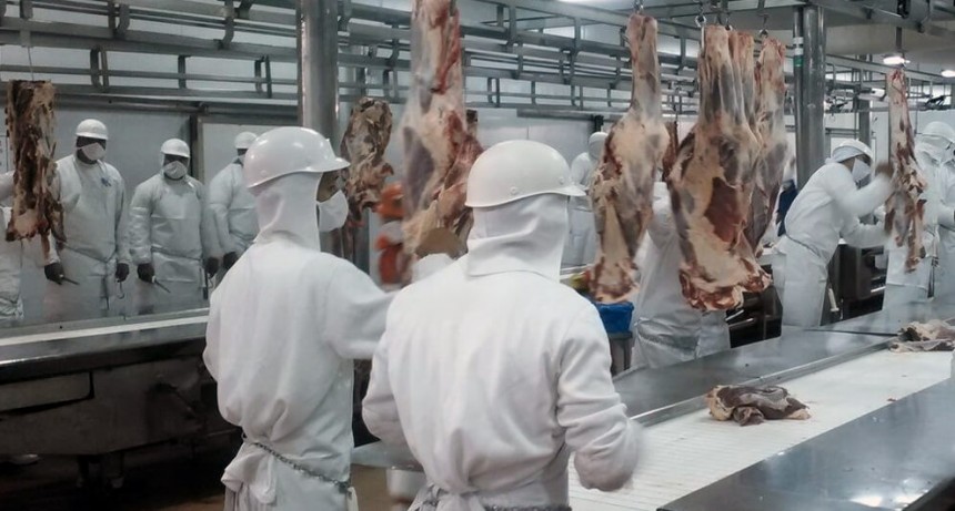 La carne bovina, con números en rojo: cae la faena y el consumo se desplomó a niveles históricos