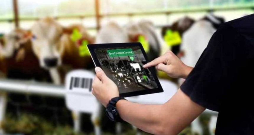 Robots con buena leche: más del 20% de los tambos argentinos ya son “inteligentes”