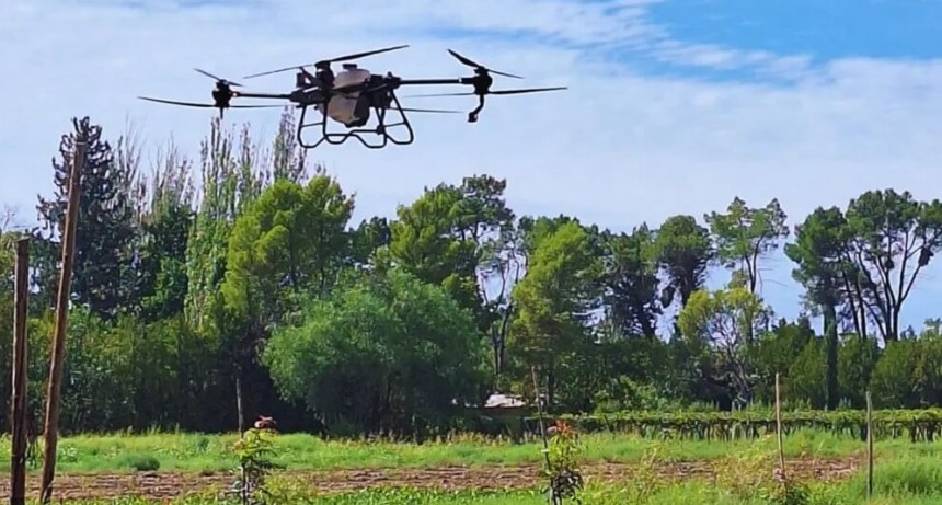 Malezas: de las rejas a los drones, las ventajas de diferentes estrategias de control