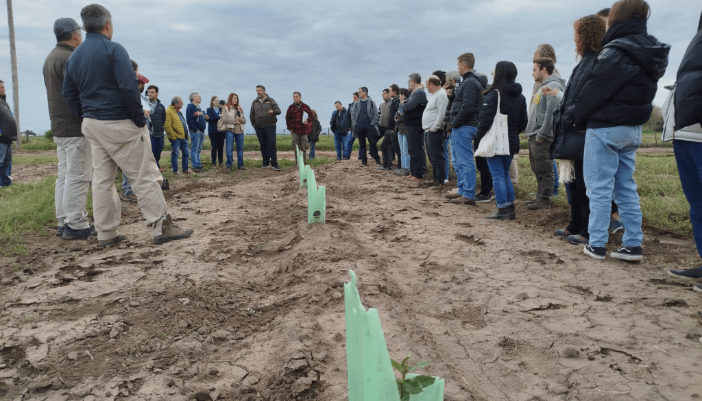 Del Alto Valle a los montes tucumanos: el interés por las trufas crece y se federaliza en Argentina