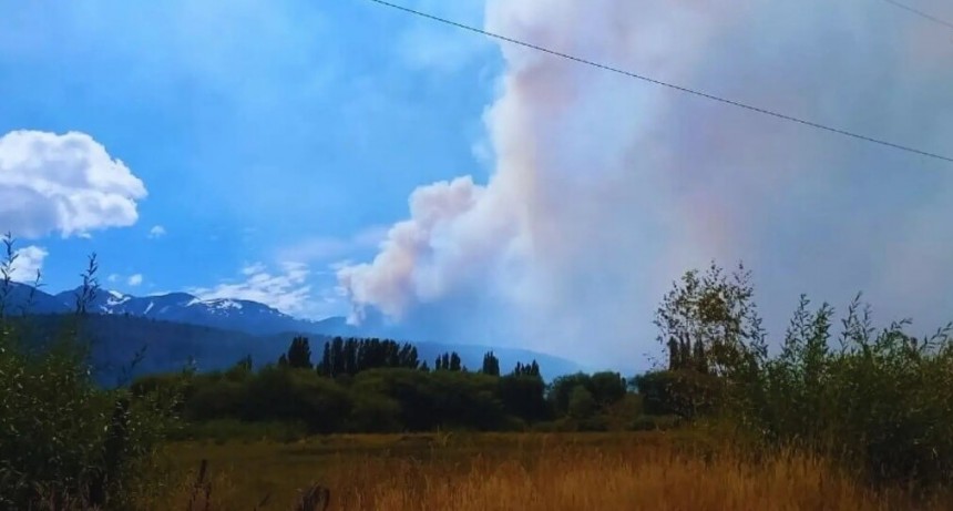 El desafío agroforestal tras los incendios: recomendaciones para preservar el suelo y la salud animal