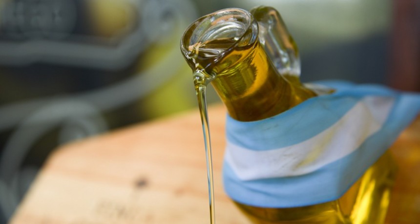 En Mendoza, más empresas certifican el único aceite de oliva del Hemisferio Sur con indicación geográfica