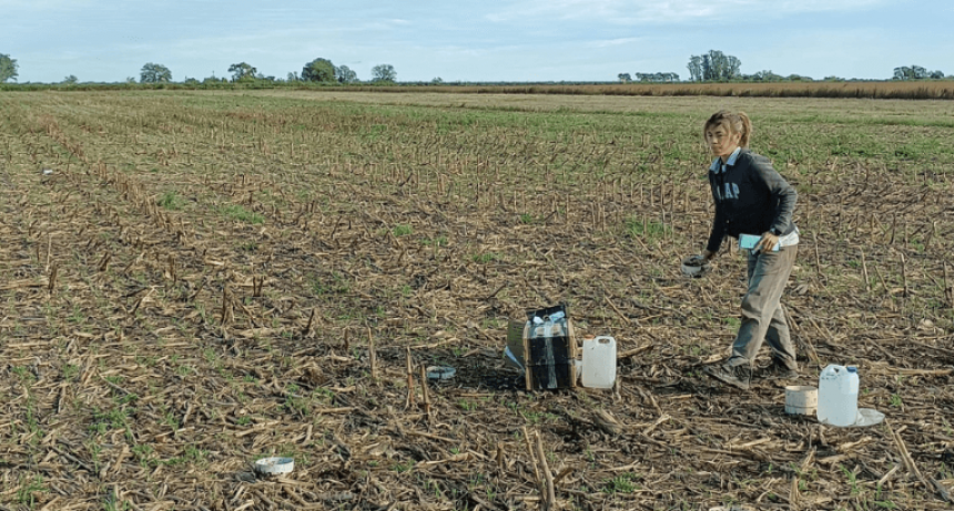 Más carbono y menos erosión: más de 30 investigaciones confirman los beneficios de la rotación de cultivos