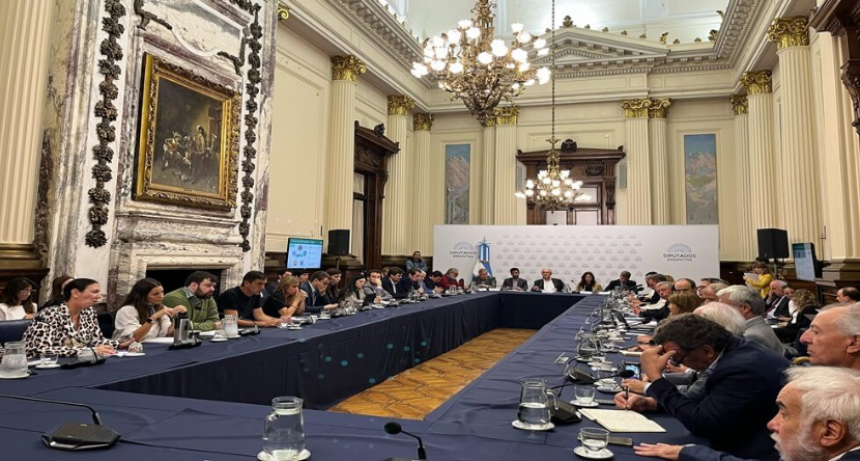 Desde el Congreso, el campo redobl&oacute; la presi&oacute;n para darle un fin a las retenciones