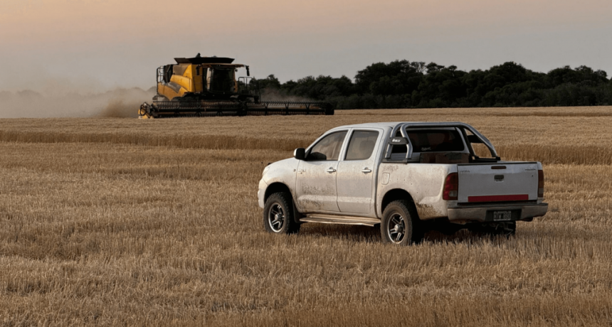 Menos Excel y más campo: un asesor recomienda “replantearse todo” ante el nuevo escenario económico