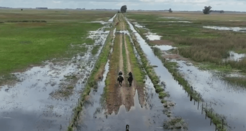“¿Van a seguir ignorándonos?”: productores de Buenos Aires, indignados por los caminos rurales