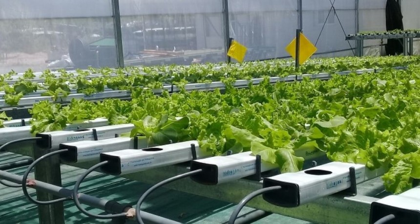 En Córdoba ya toma forma el segundo Congreso de Hidroponia de Argentina