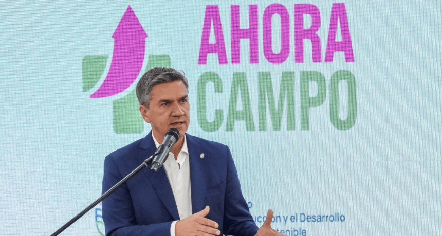 En Chaco, la sequía generó pérdidas por U$S 300 millones y el Gobierno anunció un paquete de ayudas