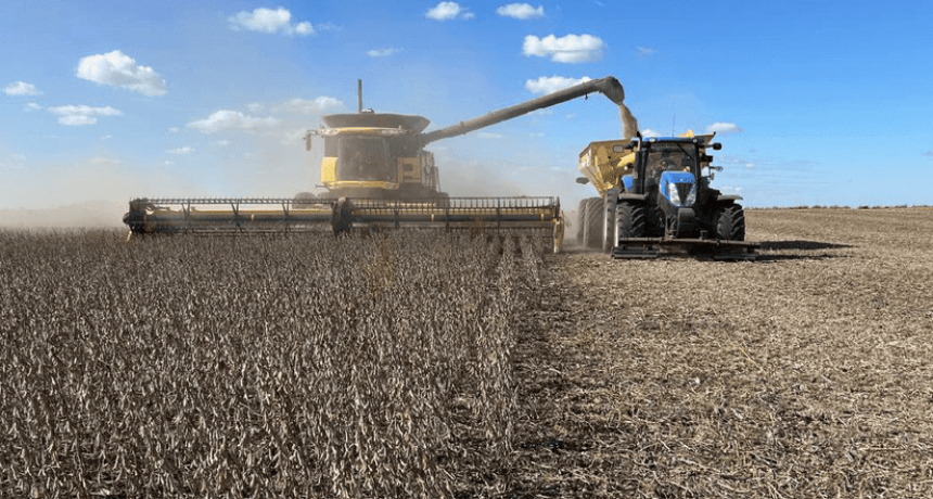 Avanza la cosecha y, en la tierra del maíz, a la nota la dan la soja y el girasol