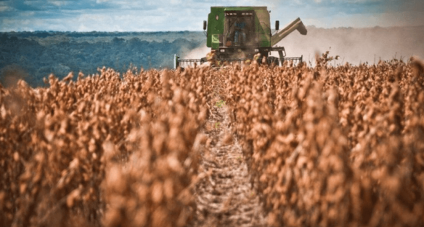 Comenz&oacute; la cosecha de soja en la zona n&uacute;cleo y hay optimismo por los rindes