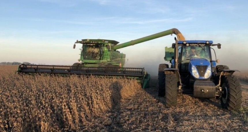 En la región centro, la producción de soja será la más baja en una década