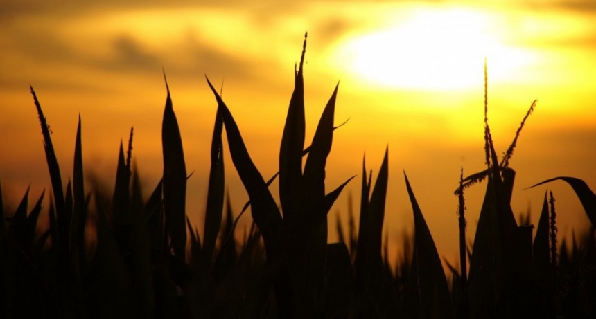 A más de un mes del inicio del otoño, pronostican el primer descenso marcado de temperatura y más lluvias