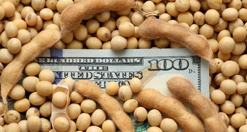 La soja de mayo superó los 610 u$s/tn en Chicago y los contratos de julio subieron 10 u$s/tn