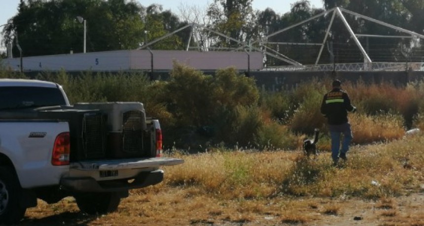 Imputaron por femicidio a dos hombres detenidos por la desaparición de Abigail en Mendoza