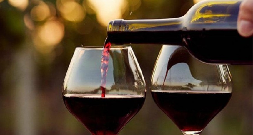 Desarrollan bacterias para reducir la acidez y mejorar el aroma de los vinos tintos