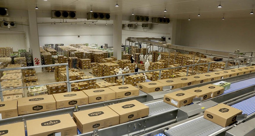 Previo al cierre de las exportaciones de carne, así siguió la Balanza Comercial Argentina