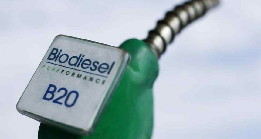 Preocupación en el Consejo Agroindustral por el proyecto de ley de Biocombustibles