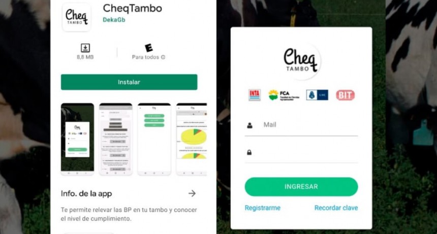 Con una app, ya es posible evaluar las buenas prácticas en el tambo y asegurar la calidad